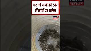 Snake Viral Video : पानी की टंकी में छिपे थे 27 सांप, फिर जो हुआ...!| N18S | Viral Video | Snake