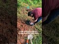 A MELHOR DICA QUE EU POSSO DAR PRA SUA VIDA!!!