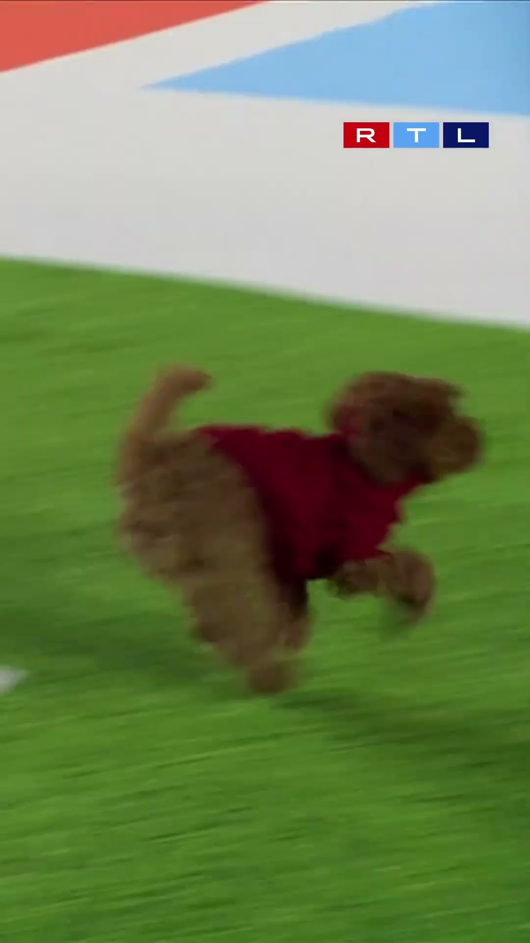 Fumble das #RTLNFL Orakel ?