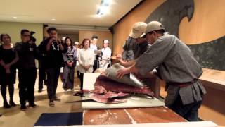 Download Lagu Kaitai Maguro - Tuna Cutting MP3