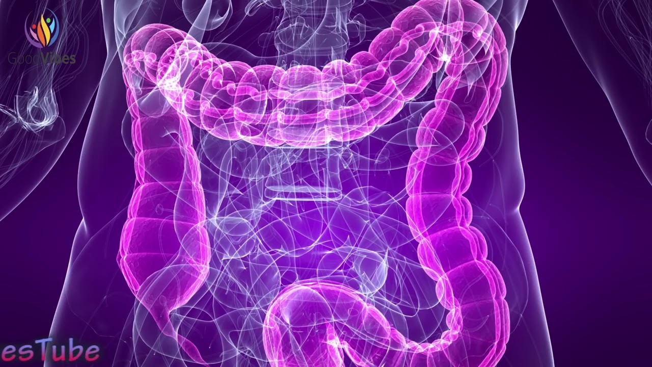 Stomach Healing Frequency Music Stomach Pain Relief, Digestive Frequency