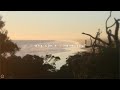 Gloria Laing Why Can T I Have You Lyrics 