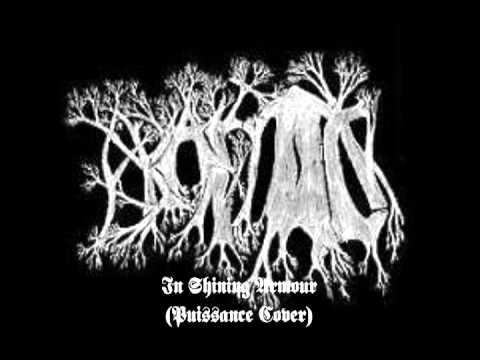 Branstock — BRANSTOCK "In Shining Armour" ( Puissance Cover )