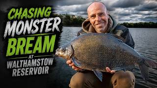 Chasing Monster Bream at Walthamstow Reservoir