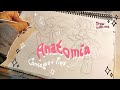 Como dibujo La ANATOMIA de SONIC Consejos + Tips 🌷✨🦔