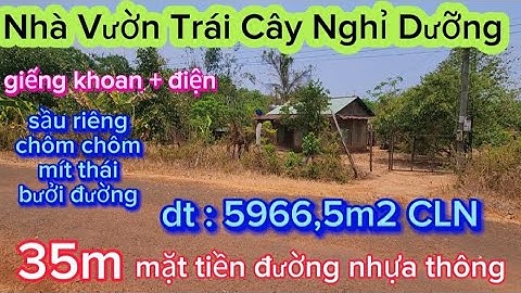 479 🍀 Nhà Vườn Trái cây nghĩ dưỡng có nguồn thu ,sẵn chuồng trại, giếng khoan, điện .mặt tiền  nhựa