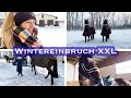 EISKALTER Stallalltag | + viele Reitszenen | XXL Weekly Vlog #37