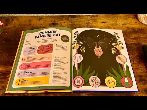 ASMR: Learning about Super Powered Animals