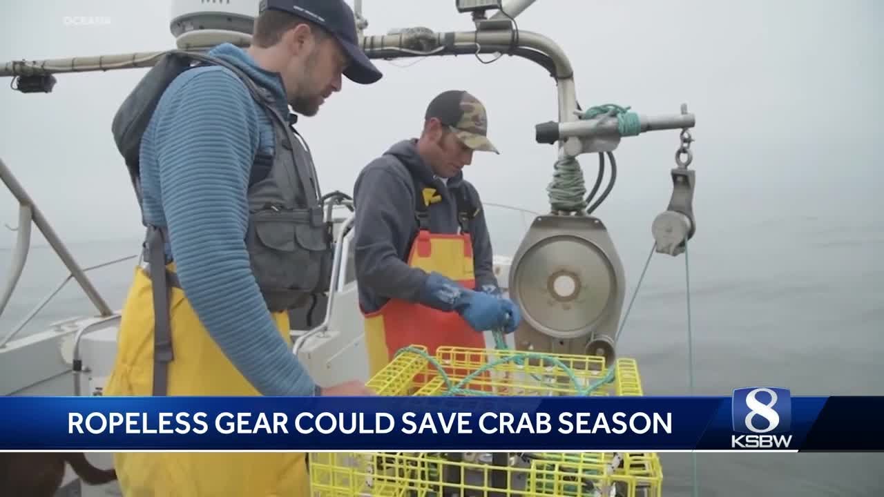 Ropeless fishing gear could transform California's crab industry