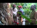 Mboka plays in ebando temple   ngombi harp music
