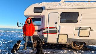 STUCK! Snow Storm Van Camping With 2 Puppies