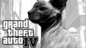 I turned my cat into a GTA Loading Screen