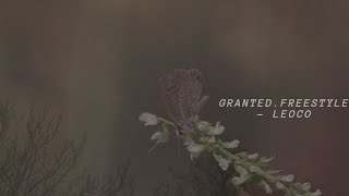 Granted Freestyle - Leoco