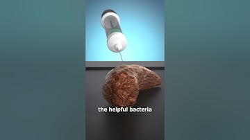 How A Poop Transplant Works 💩🤔