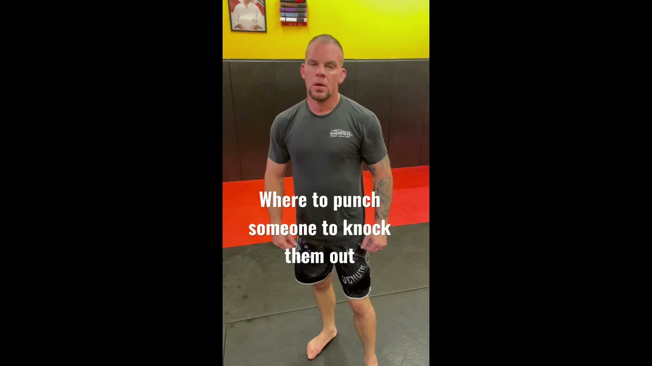 Where To Punch Someone Knock Them Out Knockout Self Defense