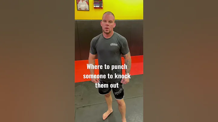 Where to punch someone to knock them out / knockout/ self defense