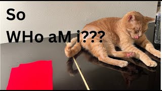 Hutlc Applicant, Osmond Lin Accepted