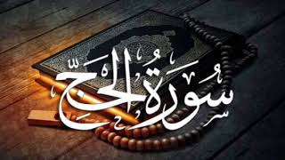 سورة الحج للشيخ المقرئ محمد بن حسين عامر @Yemen_readers