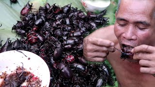 FINDING June Beetles Underground​ & Cooking Edible Insects, Eating Show food