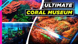 EXCLUSIVE Coral Museum Tour! (1,000+ Rare Species) | WWC Visits Coral Morphologic