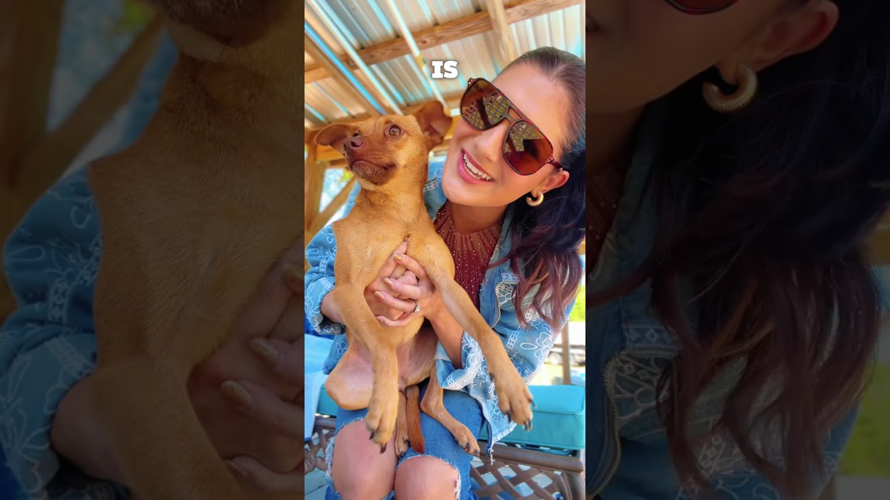 Peaches wants you all to pre-order 'All We Can Do Is Pray' on iTunes now!😜💕