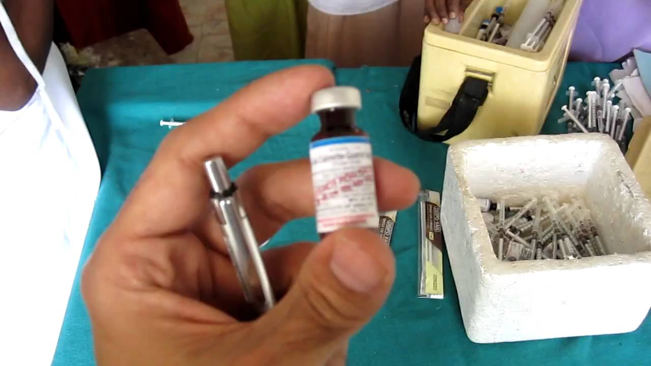 bcg-vaccination-youtube