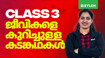 Class 3 Malayalam | ജീവികളെ കുറിച്ചുള്ള കടങ്കഥകൾ | Xylem Class 3