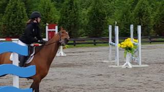 Kelly’s one stride jump-off