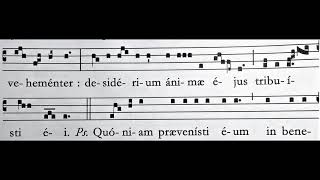 Introit - In virtute tua