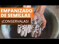 🛑 EMPANIZADO DE SEMILLAS 🔅🌱🌿🍃| HARINAS DE ROCA | PELETIZAR SEMILLAS |