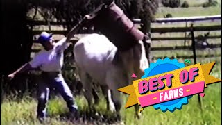 Best of AFV! | Part 50!!! | AFV Classics by AFV Classics 24,142 views 4 years ago 10 minutes, 14 seconds