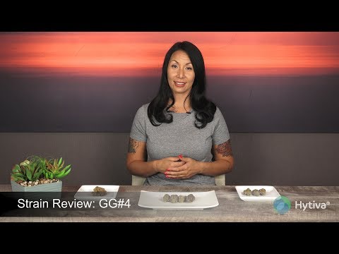 Gg Strain Review