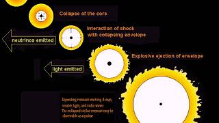 PHYS 1403 Core Collapse Supernovae