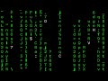 cmatrix on Phone !