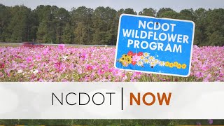NCDOT Now: May 16 - Wildflower Program; Spring Litter Sweep Results; Move Over or Get Pulled Over