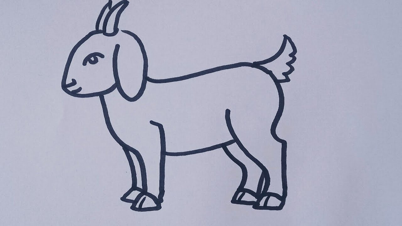 Goat Sketch Vector Art, Icons, and Graphics for Free Download