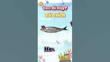 Dạy Bé Đọc Tên Các Loài Cá Sống Nước Ngọt #part4 #shorts