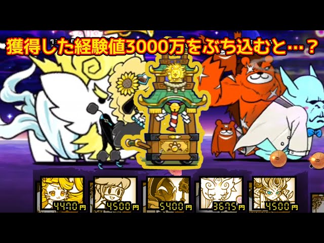 大感謝XP祭の経験値3000万を神社にぶち込んだら…？【にゃんこ大戦争