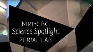 MPI-CBG Science Spotlight: Zerial Lab