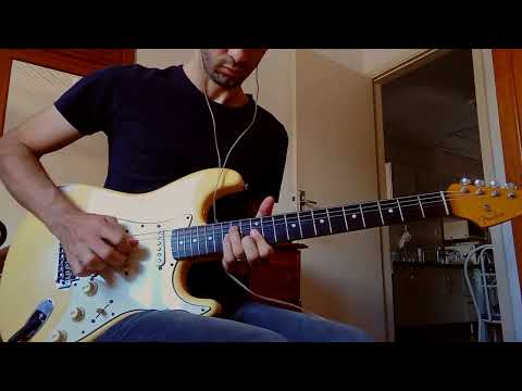 Wildwood Flower Roy Lanham Version Stratocaster Wildwood Flower Roy Lanham Version Stratocaster