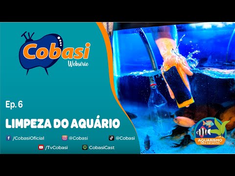 Como montar um aquário? |  Ep. 6: Limpeza do aquário