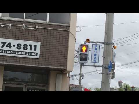 福岡県柳川市 柳川橋交差点 歩車分離信号 鳥混合