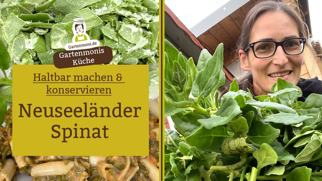 Schne Neuseeland Spinat Rezept Bild