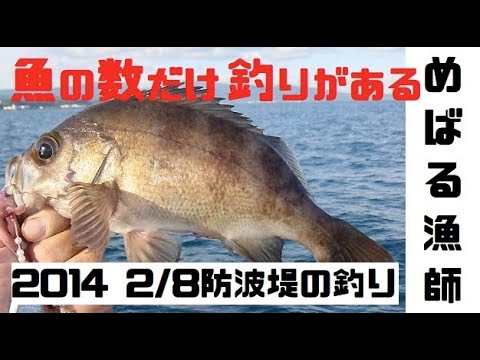 魚の数だけ釣りがある 14 2 8 青森県 鯵ヶ沢漁港 穴釣り 大物アイナメ Youtube