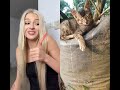 Cats…🤦🏻♀️ #cat #cats #funnycats