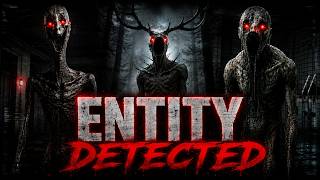 THESE UNKNOWN ENTITIES WERE RECORDED BEFORE MULTIPLE DISAPPEARANCES