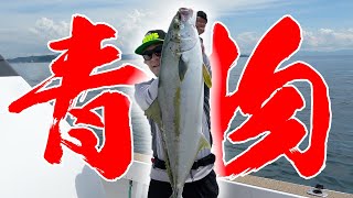 巨大なルアーを投げたら青物が水面に飛びだしてきた！！