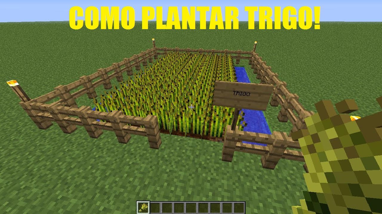 Aprenda à Fazer uma Plantação de Trigo em Minecraft - Colmeia : O