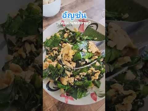 อัญชัน สาย2 | Go Eat Chill #ร้านเด็ดที่อยากดัน