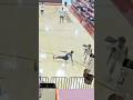 Did I? What are you supposed to do after this?